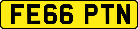 FE66PTN