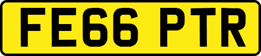 FE66PTR