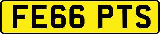 FE66PTS