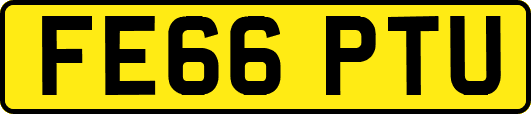 FE66PTU