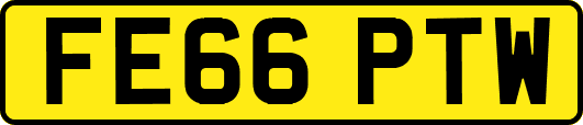 FE66PTW