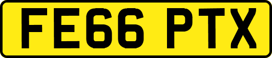 FE66PTX