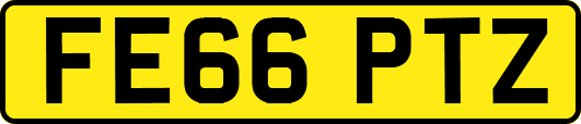 FE66PTZ