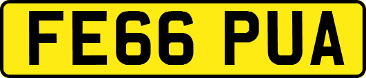 FE66PUA