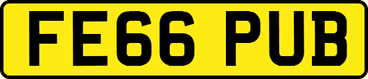 FE66PUB