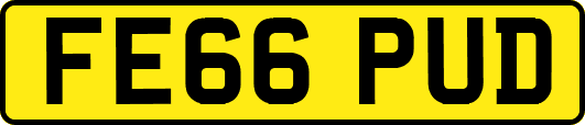 FE66PUD