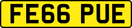 FE66PUE