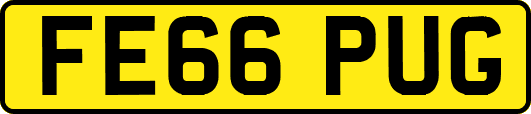 FE66PUG
