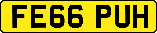 FE66PUH