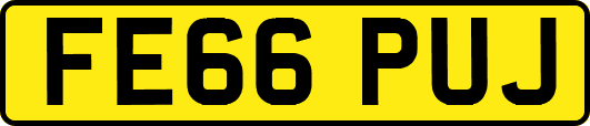FE66PUJ