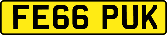 FE66PUK