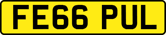 FE66PUL