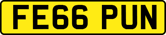 FE66PUN