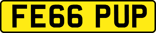 FE66PUP