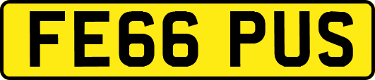 FE66PUS