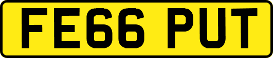 FE66PUT