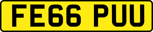 FE66PUU