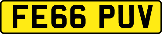 FE66PUV