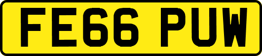 FE66PUW