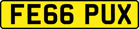FE66PUX