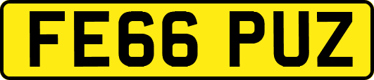 FE66PUZ