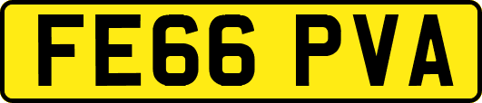 FE66PVA