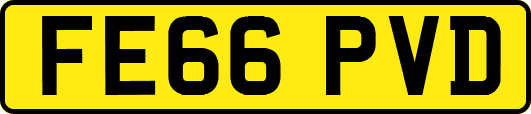 FE66PVD
