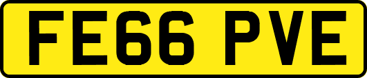 FE66PVE