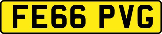 FE66PVG