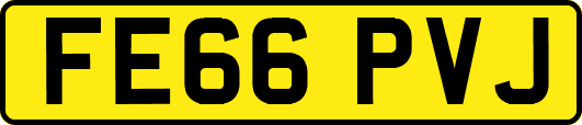 FE66PVJ