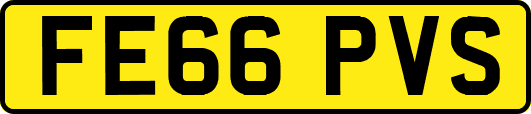FE66PVS