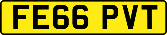 FE66PVT