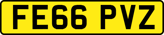 FE66PVZ