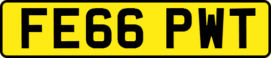 FE66PWT