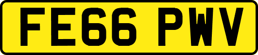 FE66PWV