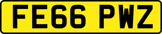 FE66PWZ