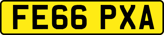 FE66PXA