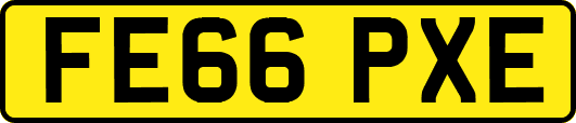 FE66PXE