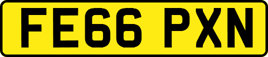FE66PXN