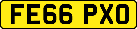 FE66PXO