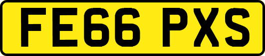 FE66PXS