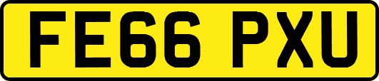 FE66PXU