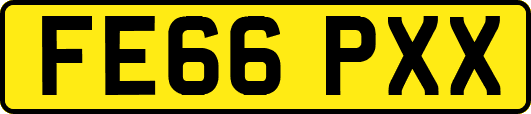 FE66PXX