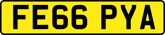 FE66PYA