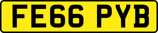 FE66PYB