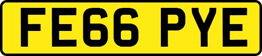 FE66PYE