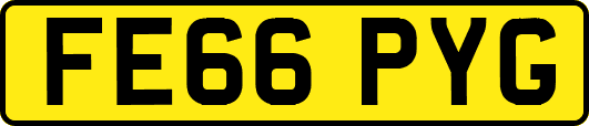FE66PYG