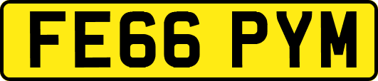 FE66PYM
