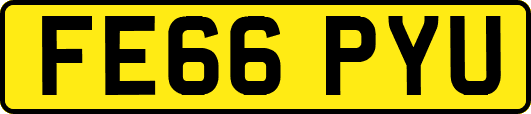 FE66PYU