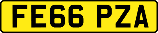 FE66PZA